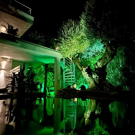 Miami Bed & Breakfast 5*