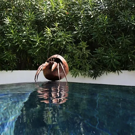 Bed & Breakfast Miami 5*